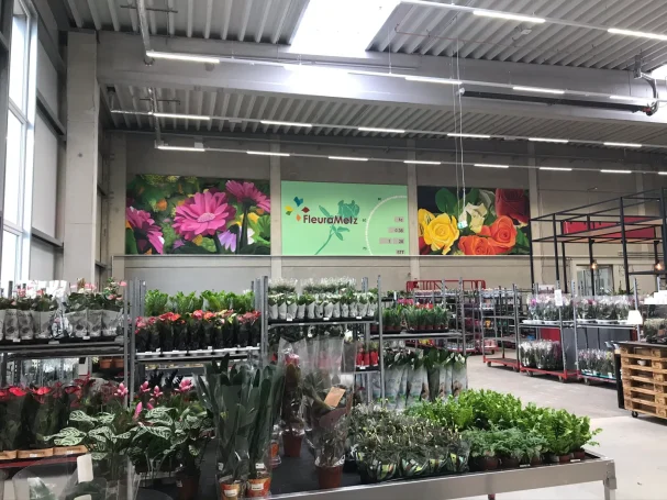 Urban Art von Rico Gruner